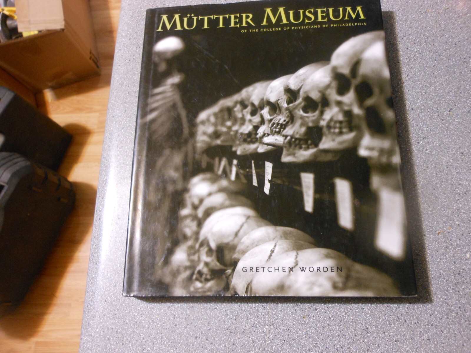The Mutter Museum Of the College of Physicians of Philadelphia seo
