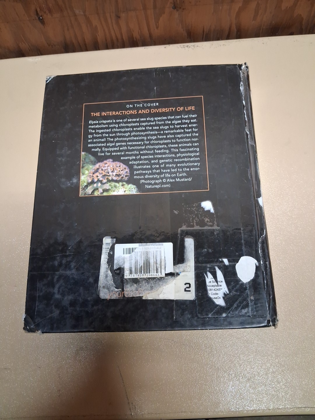 Life: The Science of Biology – Hardcover, by Sadava David; Hillis – Acceptable r