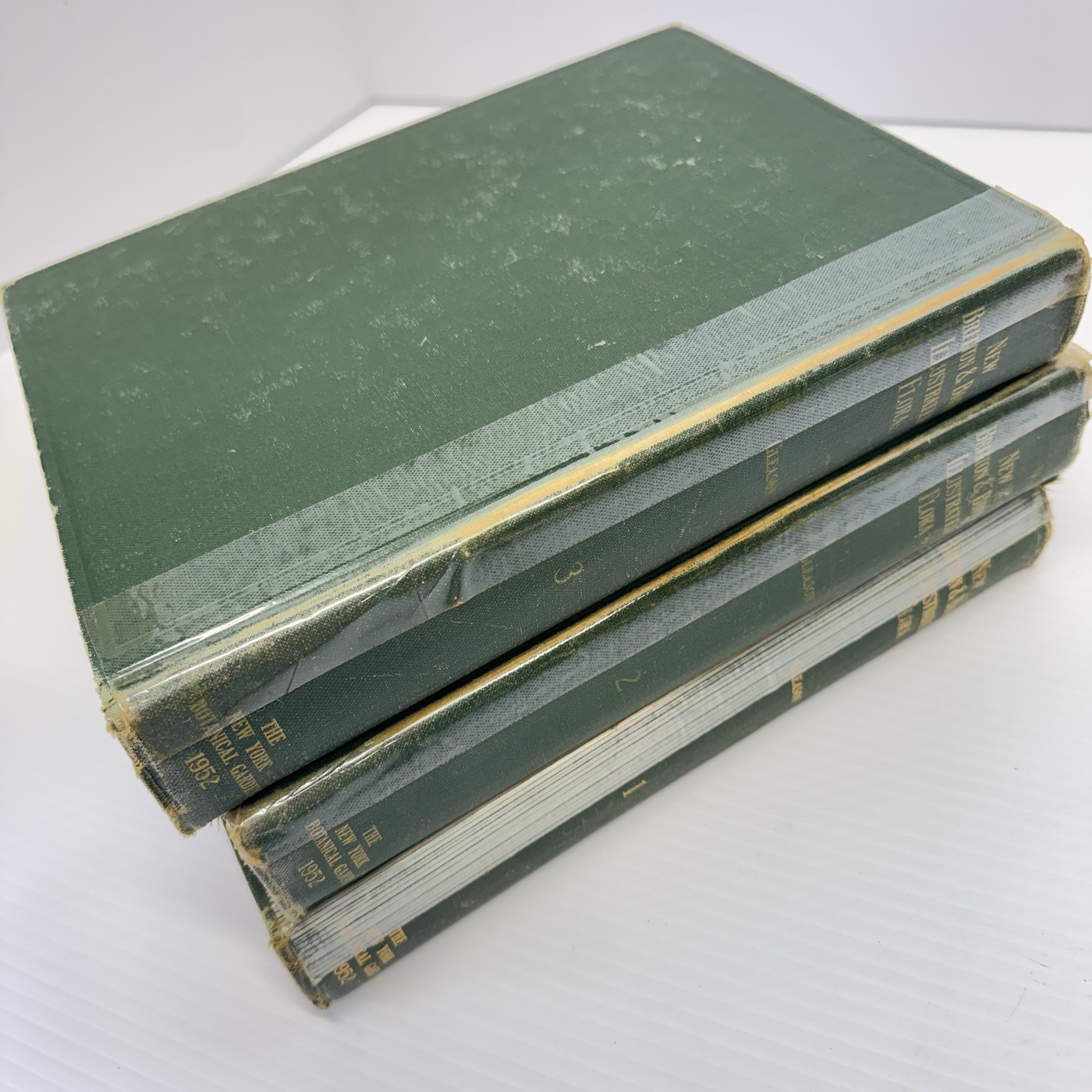 1952 New Britton and Brown Illustrated Flora of United States Gleason Flowers