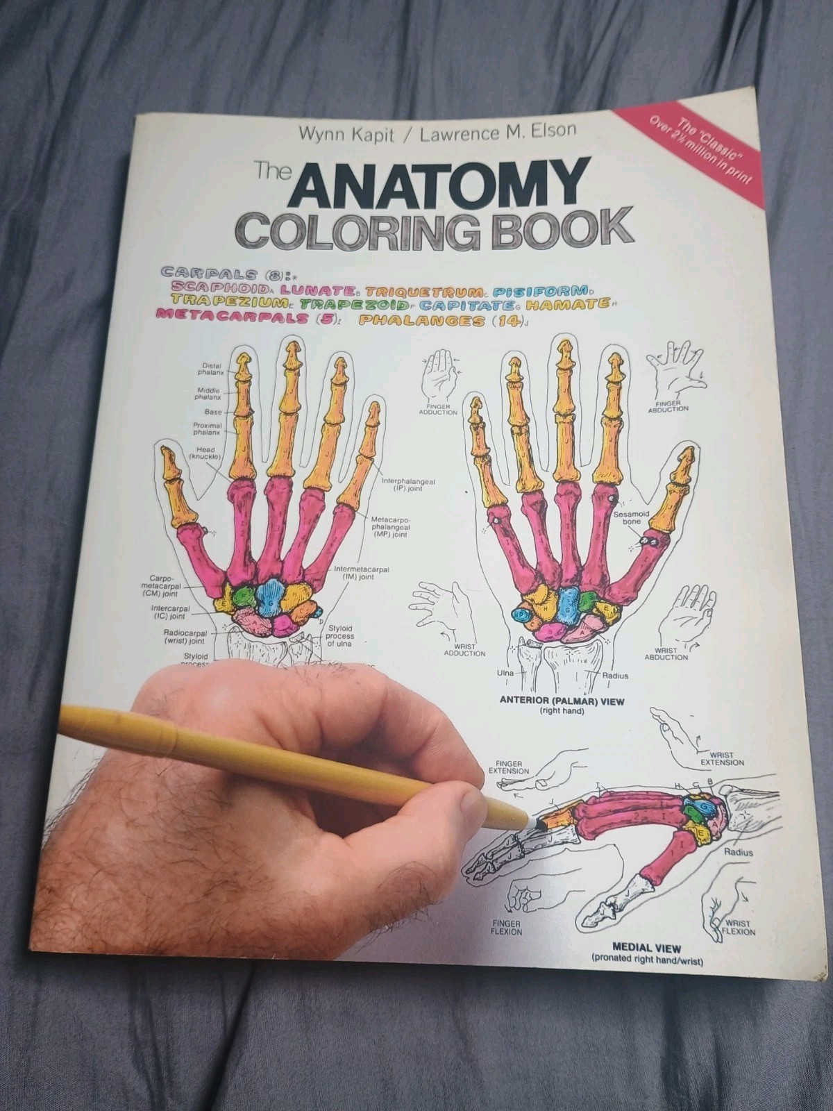 The Anatomy Coloring Book by Lawrence M. Elson, Wynn Kapit (Paperback, 1997)