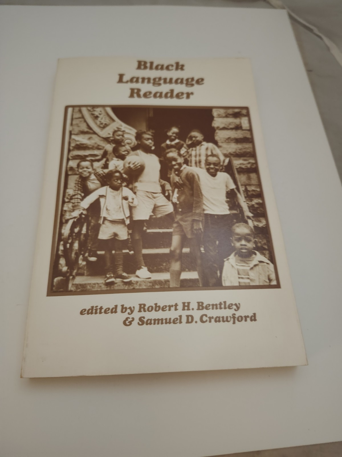Vintage Paperback 1973 ~Black Language Reader~ Robert Bentley & Samuel Crawford