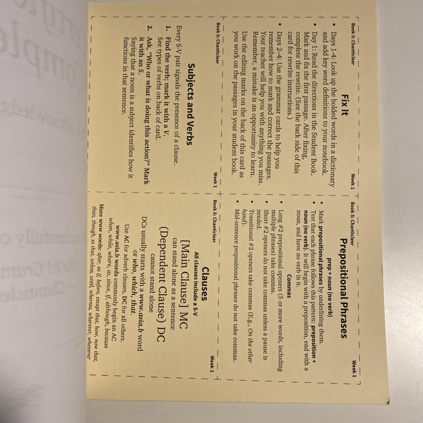 Fix It! Grammar: Chanticleer, – Spiral-bound, by Pamela White – No Writing