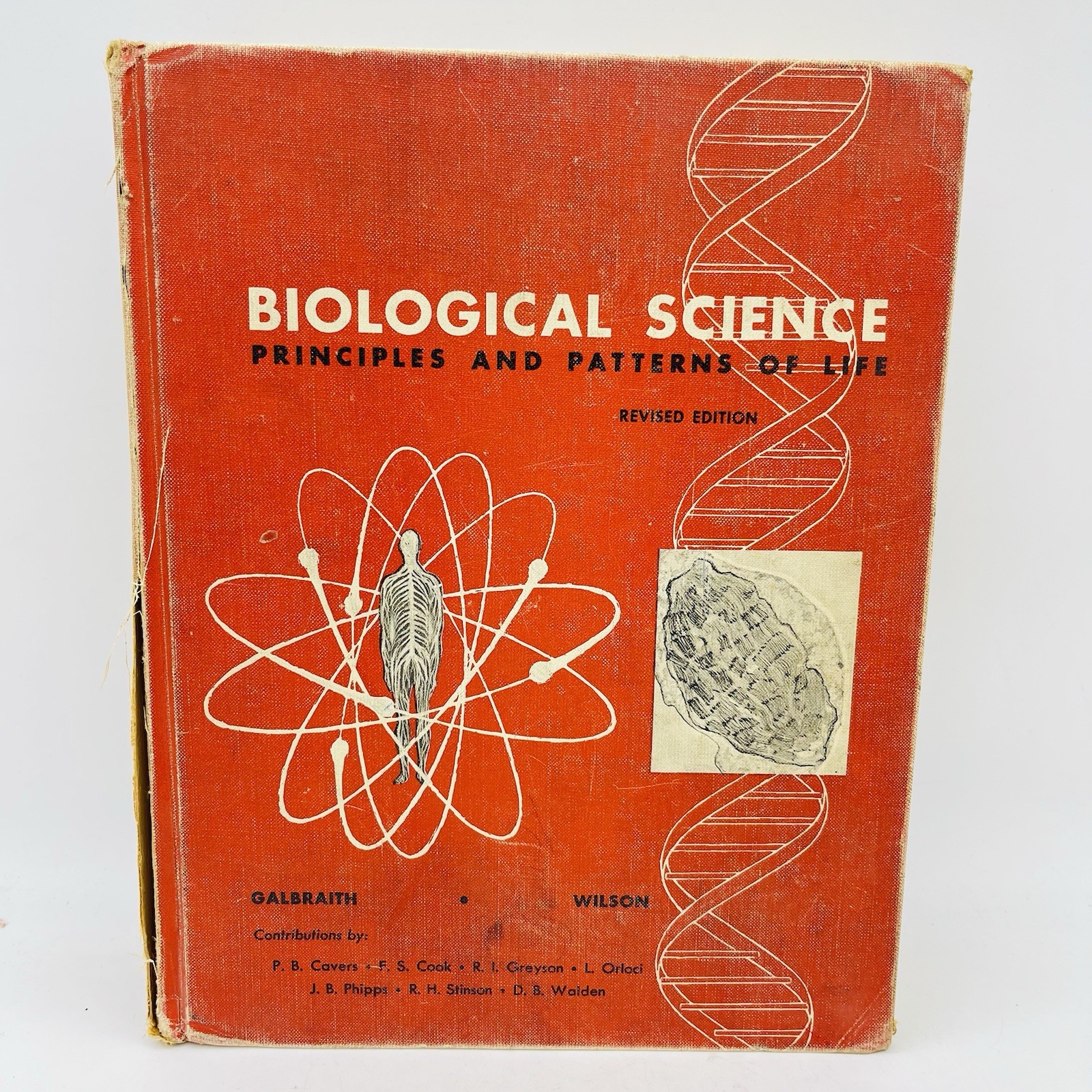 Biological Science Principles and Patterns of Life Holt Rinehart Winston Vintage