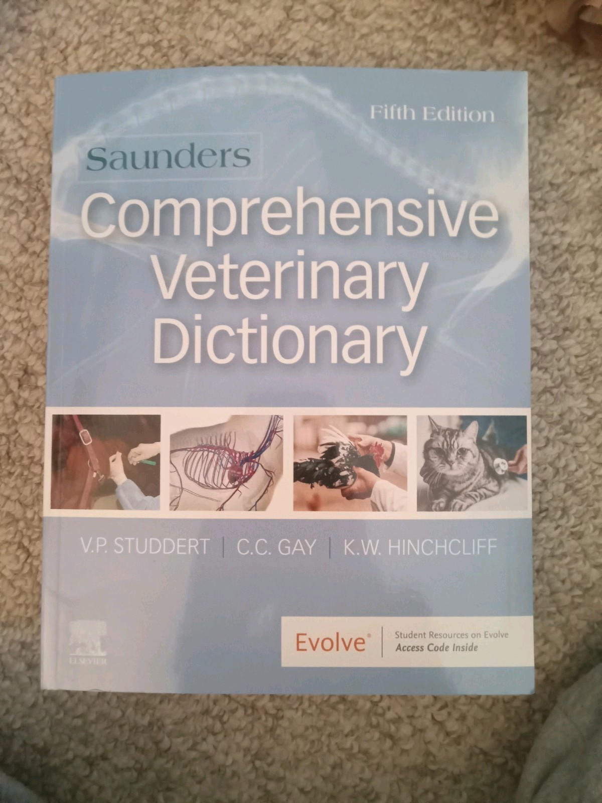 Saunders Comprehensive Veterinary Dictionary by Kenneth W. hinchcliff