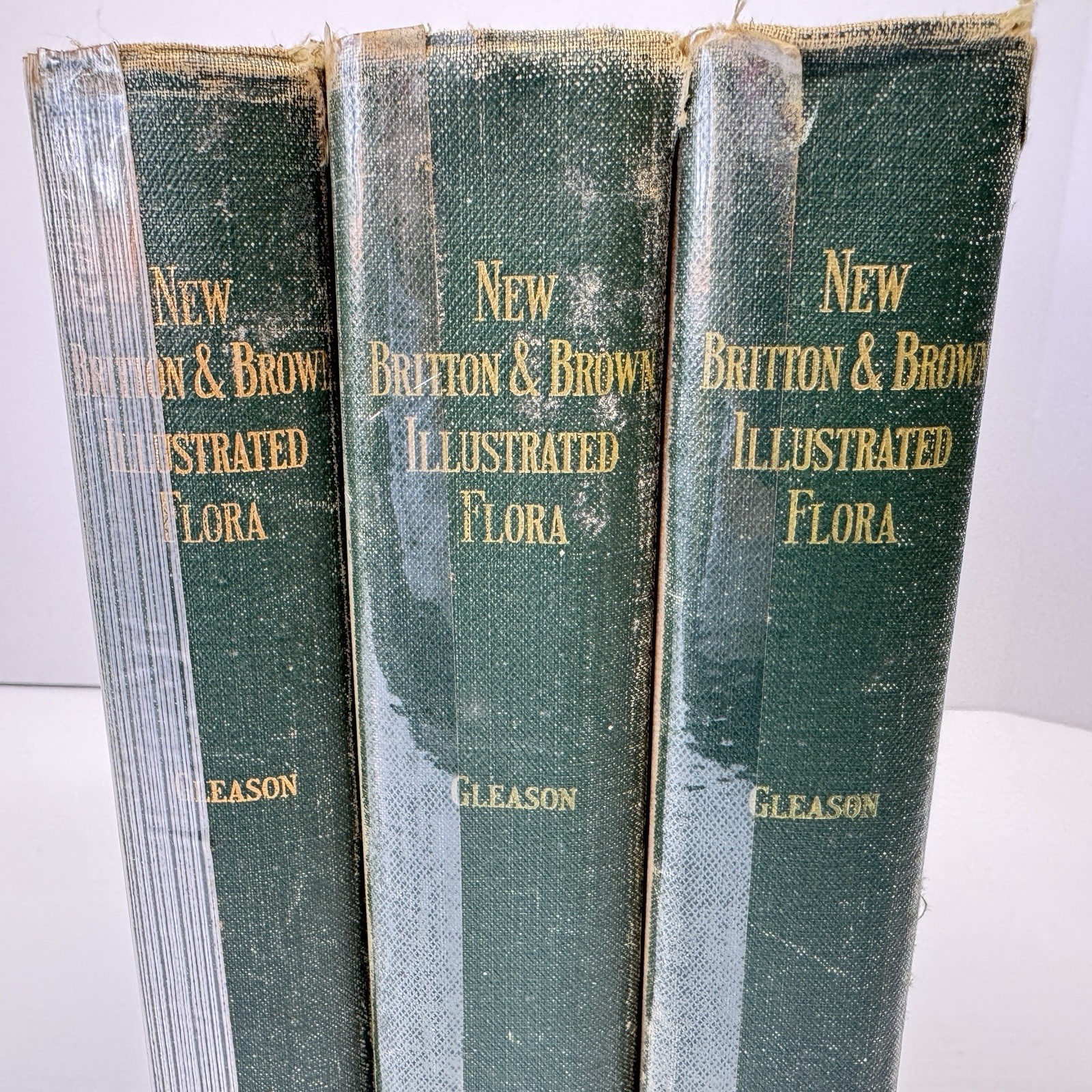 1952 New Britton and Brown Illustrated Flora of United States Gleason Flowers