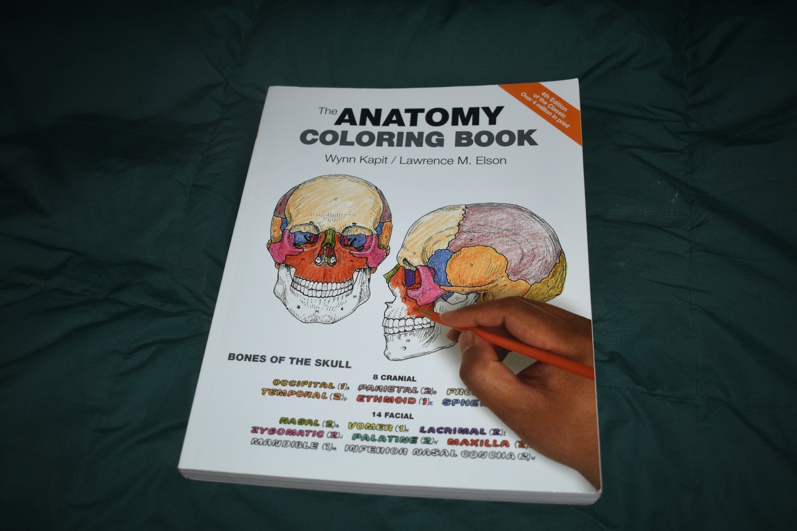 Anatomy Coloring Book by Wynn Kapit and Lawrence Elson 2013 Trade Paperback NEW