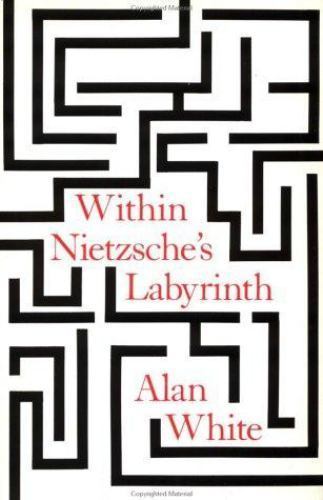 Within Nietzsche&rsquo;s Labyrinth by Alan White (1990, Uk-B Format Paperback)