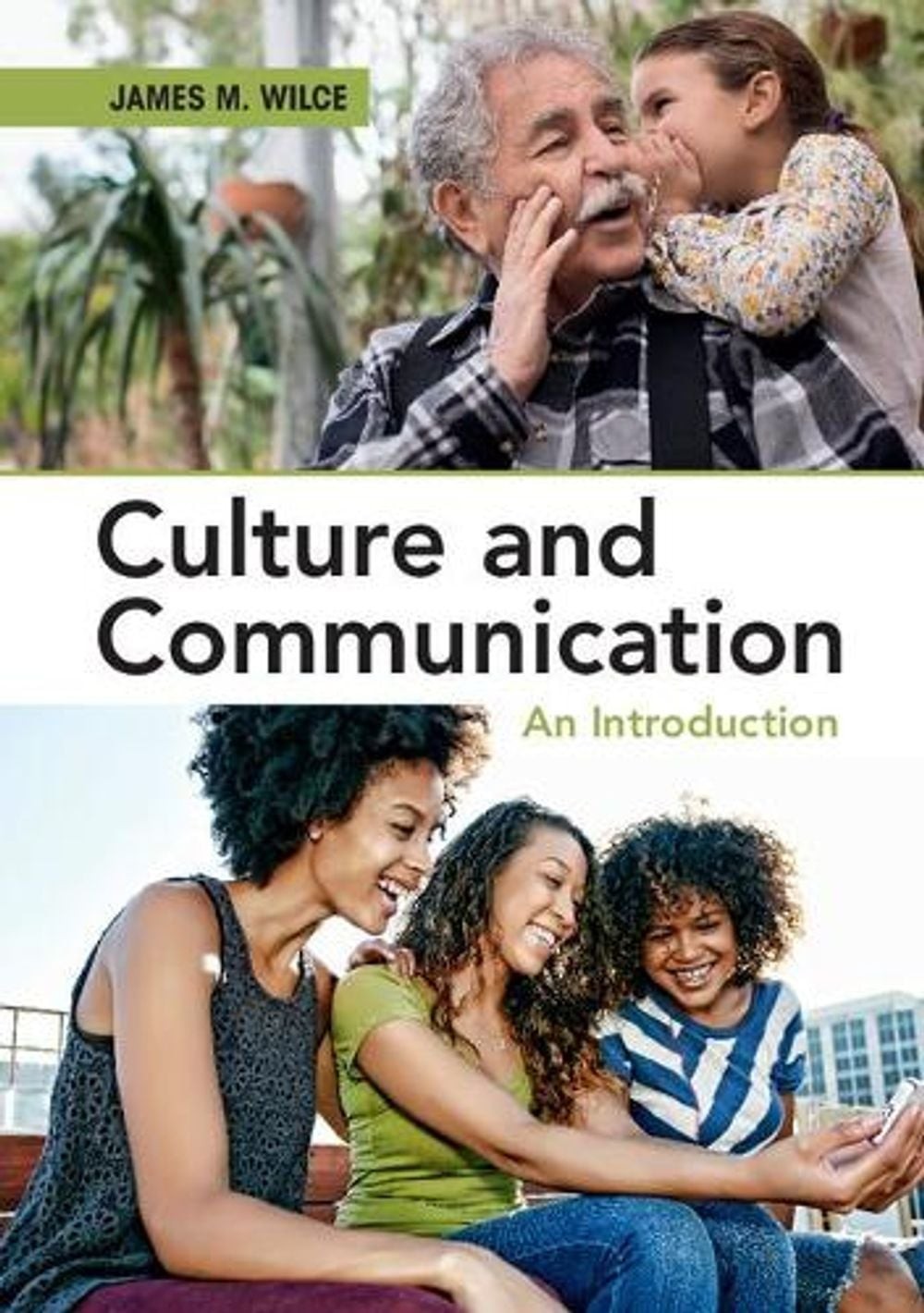 Culture and Communication: An Introduction by James M. Wilce (English) Paperback