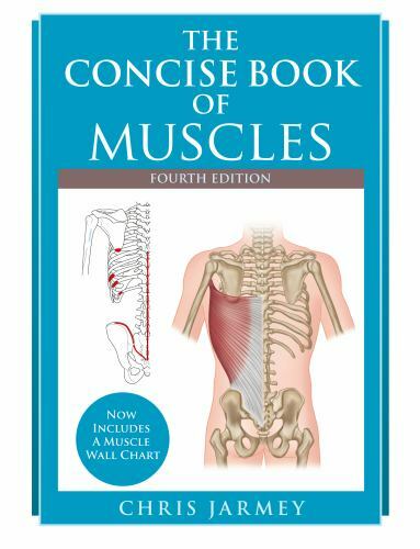 The Concise Book of Muscles, Fourth Edition, Jarmey, Chris, Good Book