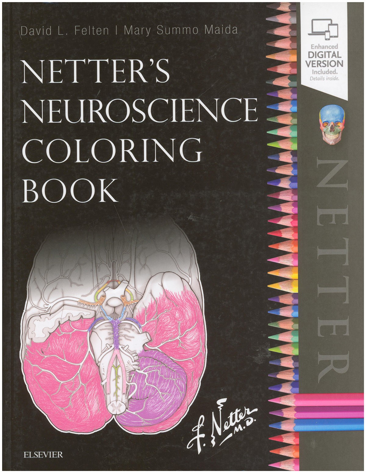 Netter&rsquo;s Neuroscience Coloring Book