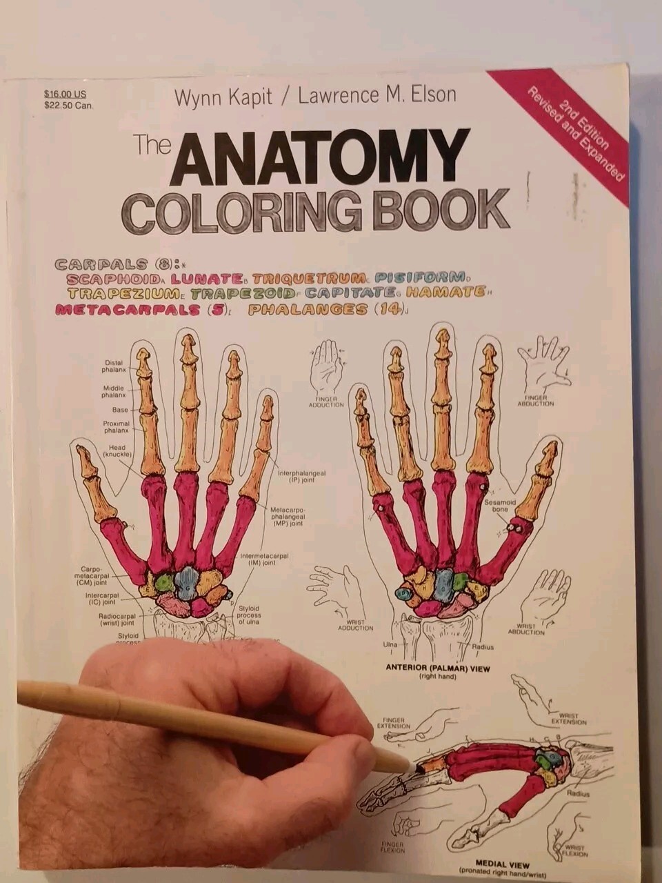 Anatomy : Coloring Book by Wynn Kapit and Lawrence M. Elson (1997, Trade…
