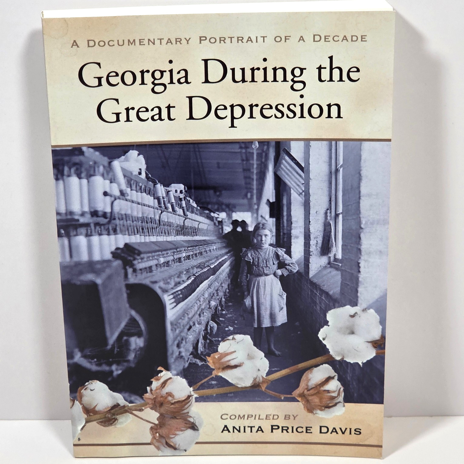 Georgia During the Great Depression a Documentary Portrait of a Decade PB 2008