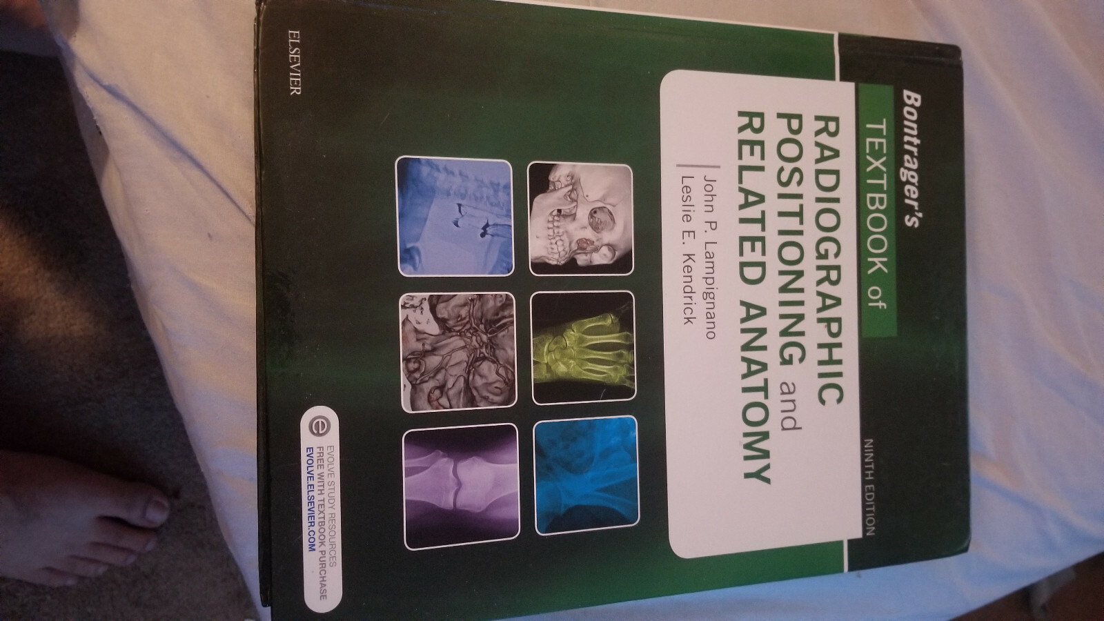 Bontrager&rsquo;s Textbook of Radiographic Positioning and Related Anatomy by Leslie E