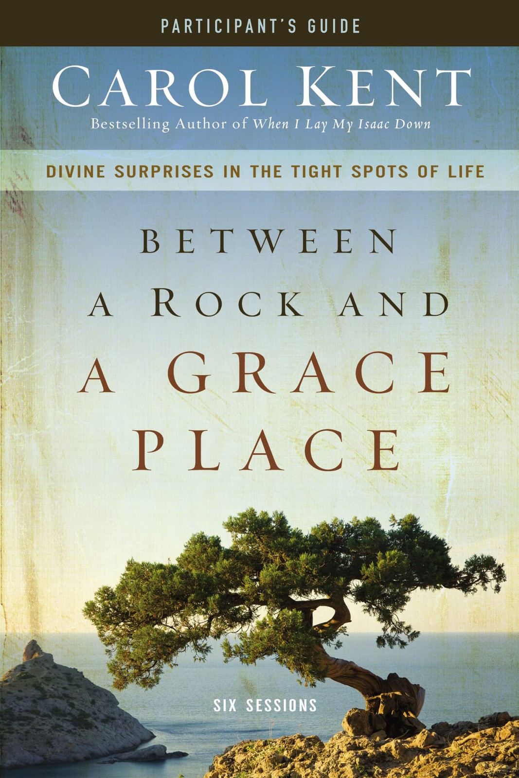 Between a Rock and a Grace Place Bible Study Participant&rsquo;s Guide: Divine Sur…
