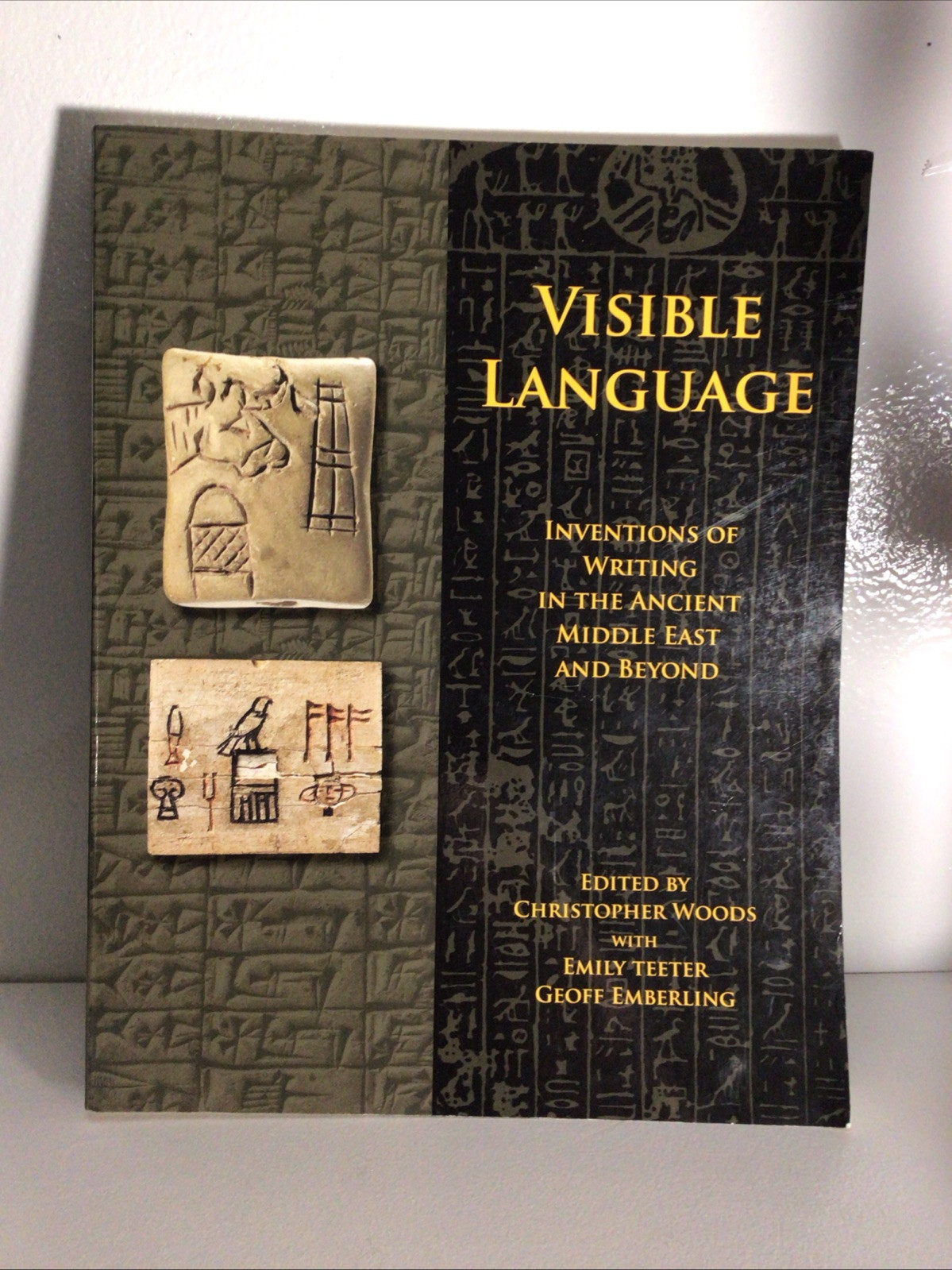 VISIBLE LANGUAGE: INVENTIONS OF WRITING IN THE ANCIENT By Christopher Woods