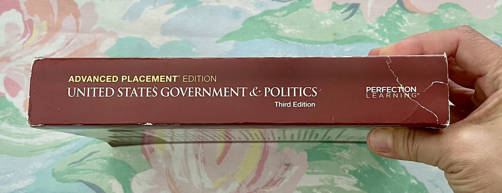 Used AMSCO Advanced Placement Edition United States Government & Politics 3rd