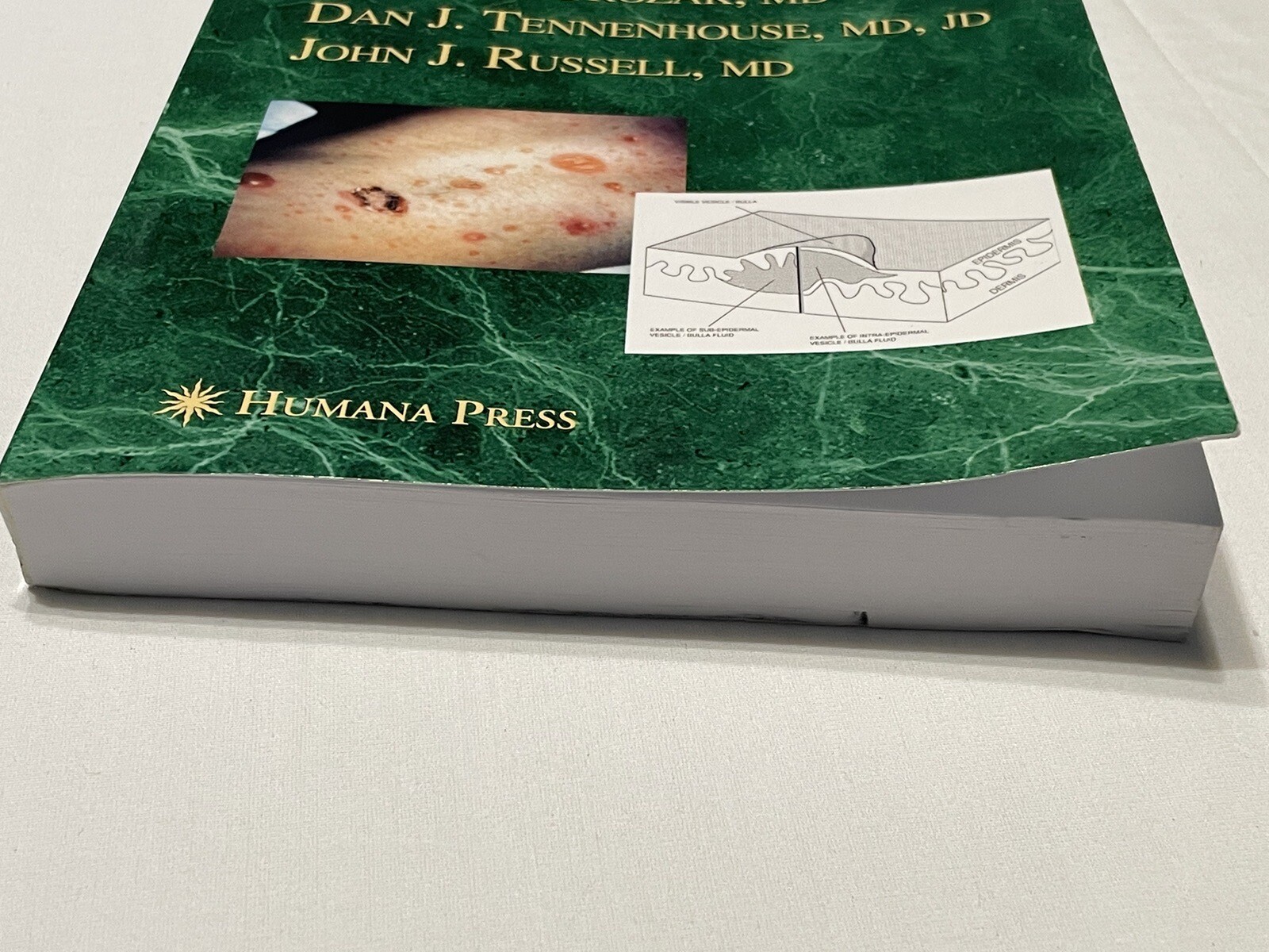 Dermatology Skills for Primary Care An Illustrated Guide, Paperback New 1223