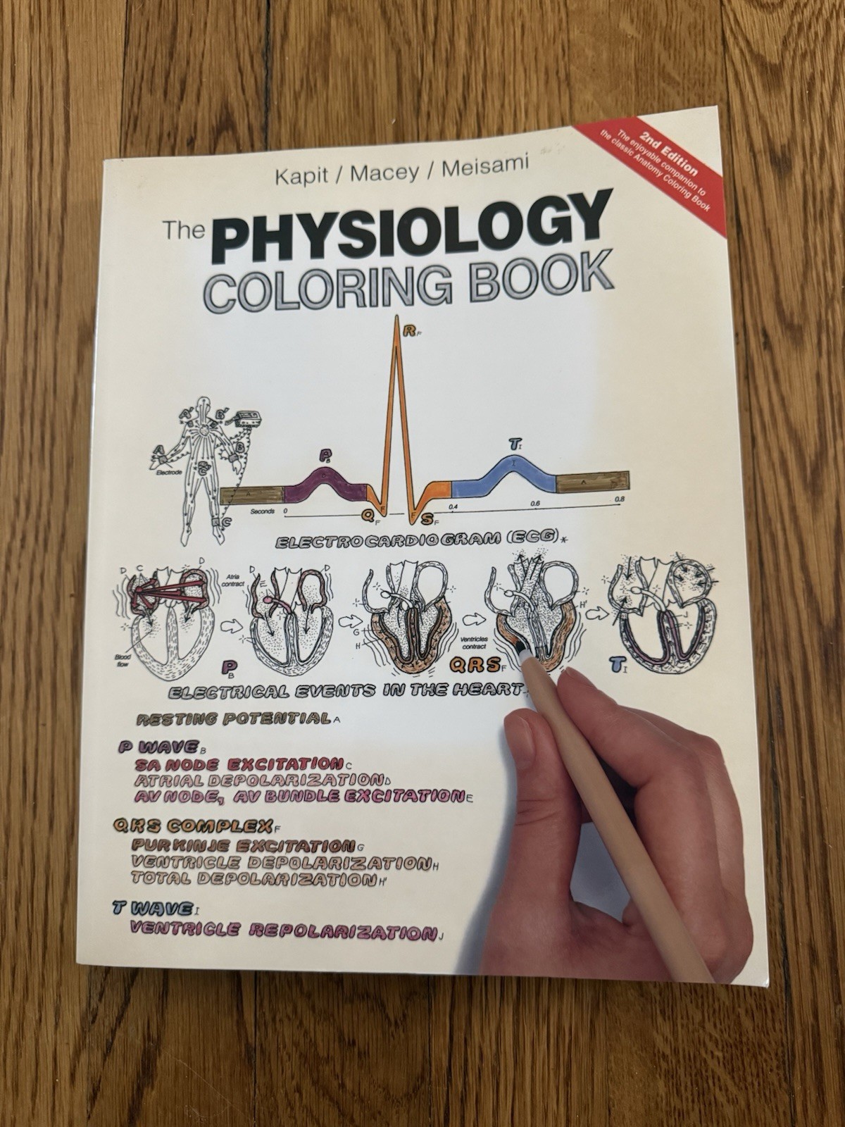 Physiology Coloring Book, Paperback by Kapit, Wynn; Macey, Robert; Meisami, E…
