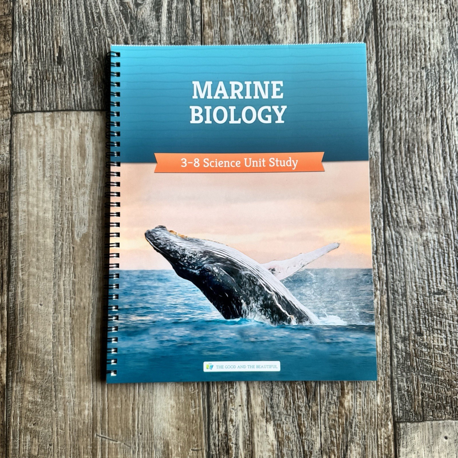 The Good And The Beautiful— Marine Biology: 3-8 Science Unit Study