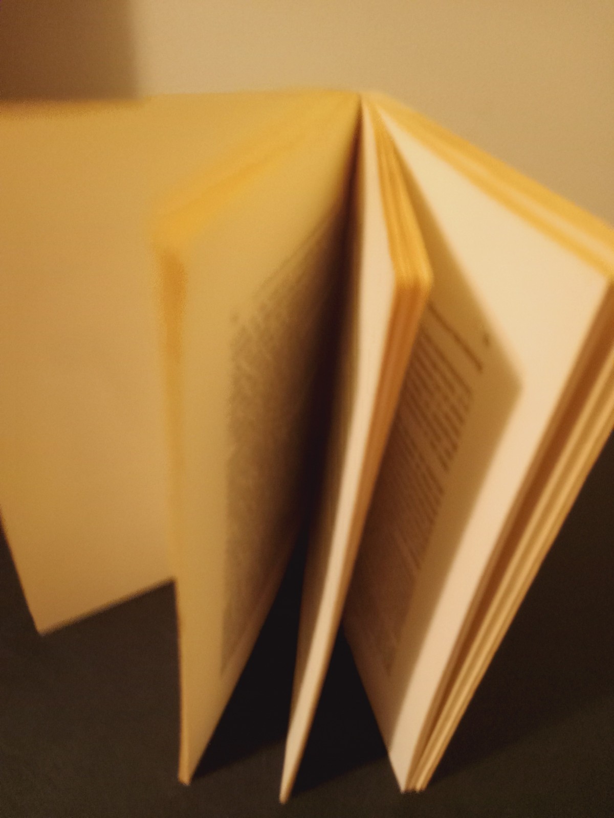 1971 An Introduction to Wittgenstein&rsquo;s Tractatus. G E M Anscombe PB Edition