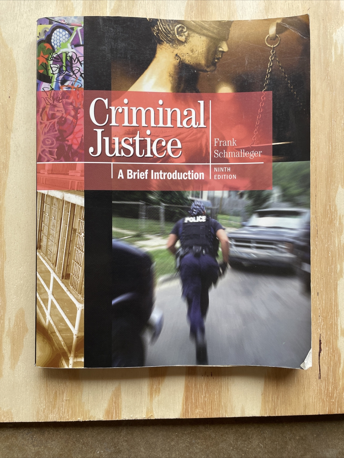 Criminal Justice : A Brief Introduction by Frank J. Schmalleger (2011, Trade…