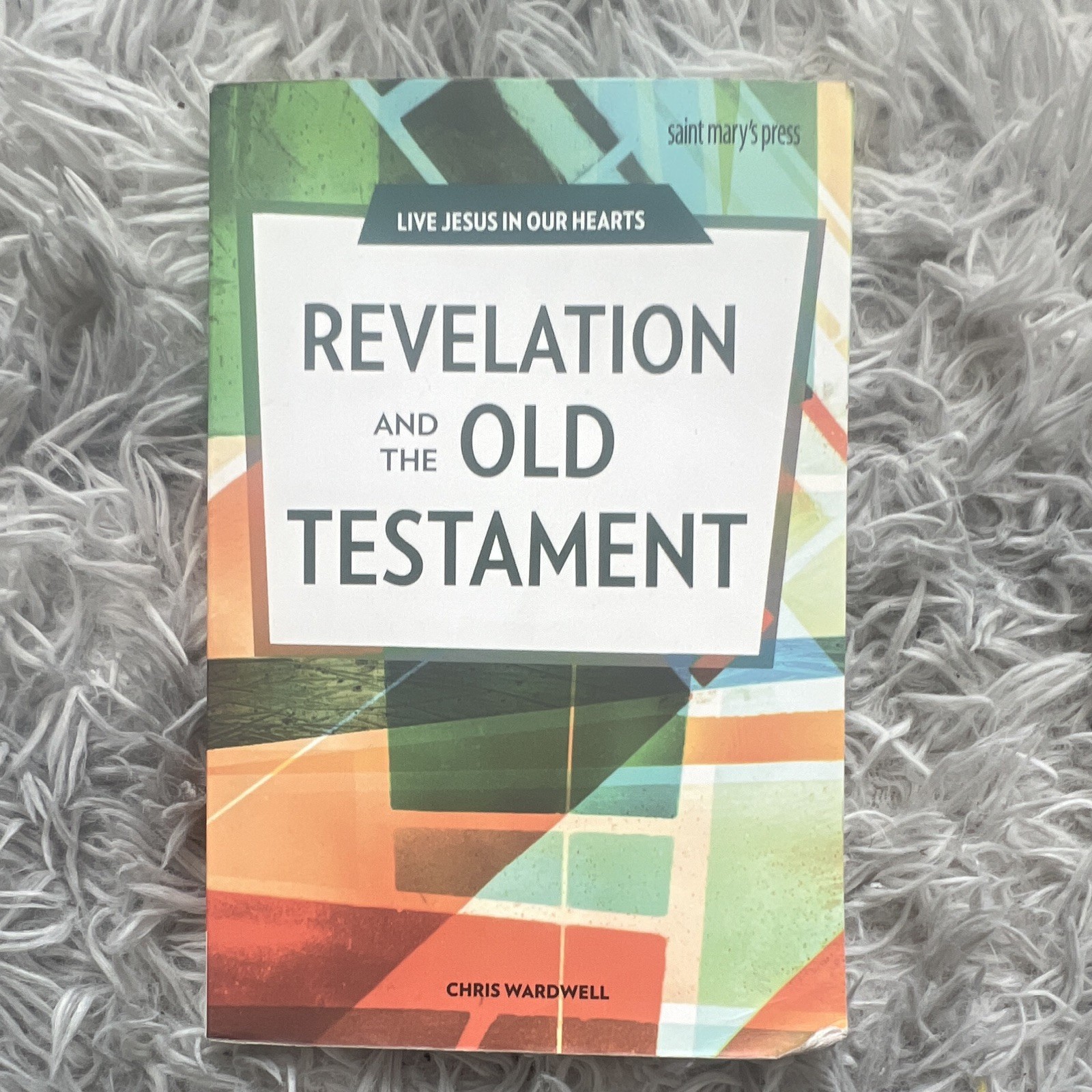 Saint Mary&rsquo;s Press Live Jesus in Our Hearts: Revelation & Old Testament PB