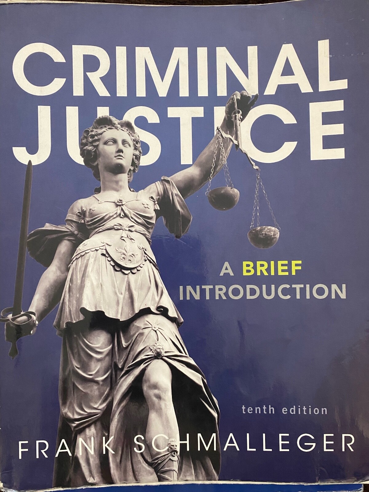 Criminal Justice : A Brief Introduction by Frank J. Schmalleger (2013, Trade…