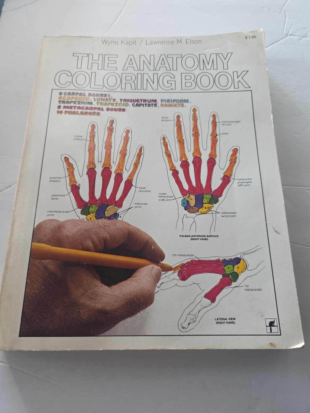 The Anatomy Coloring Book – Paperback By Kapit, Wynn – GOOD