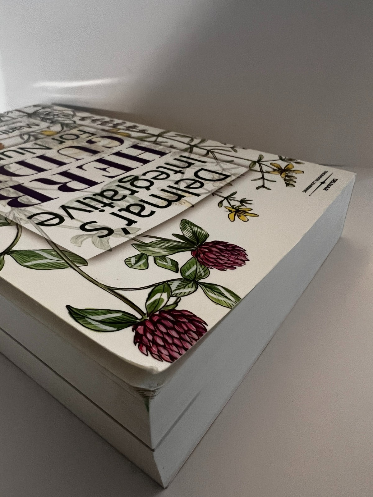 Delmar&rsquo;s Integrative Herb Guide for Nurses by Martha Libster (2001, Trade…