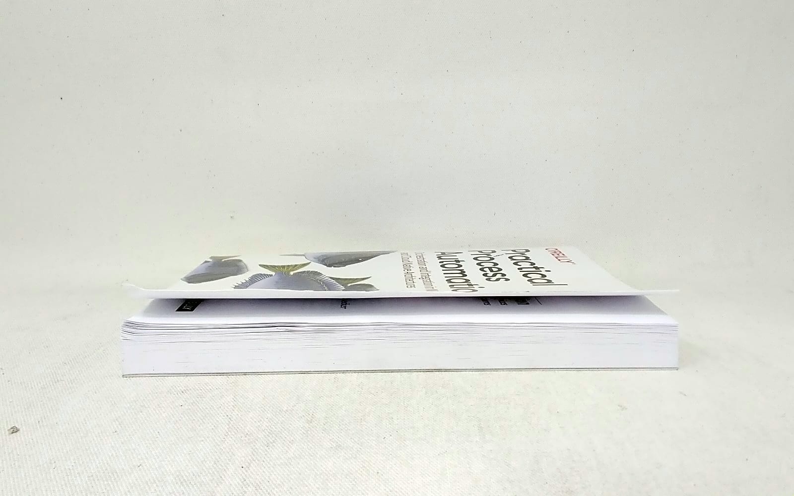 O&rsquo;Reilly Media Practical Process Automation 9781492061458 Bernd Ruecker