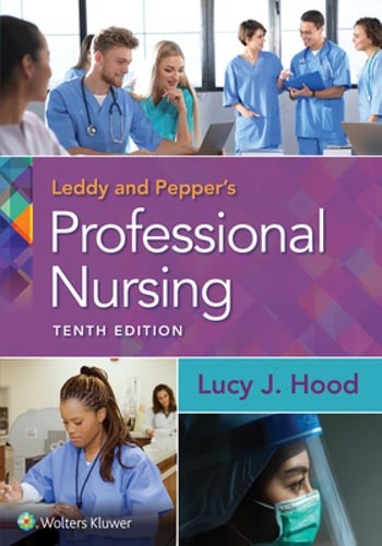 Leddy & Pepper&rsquo;s Professional Nursing by RN Hood, Lucy, PhD: Used