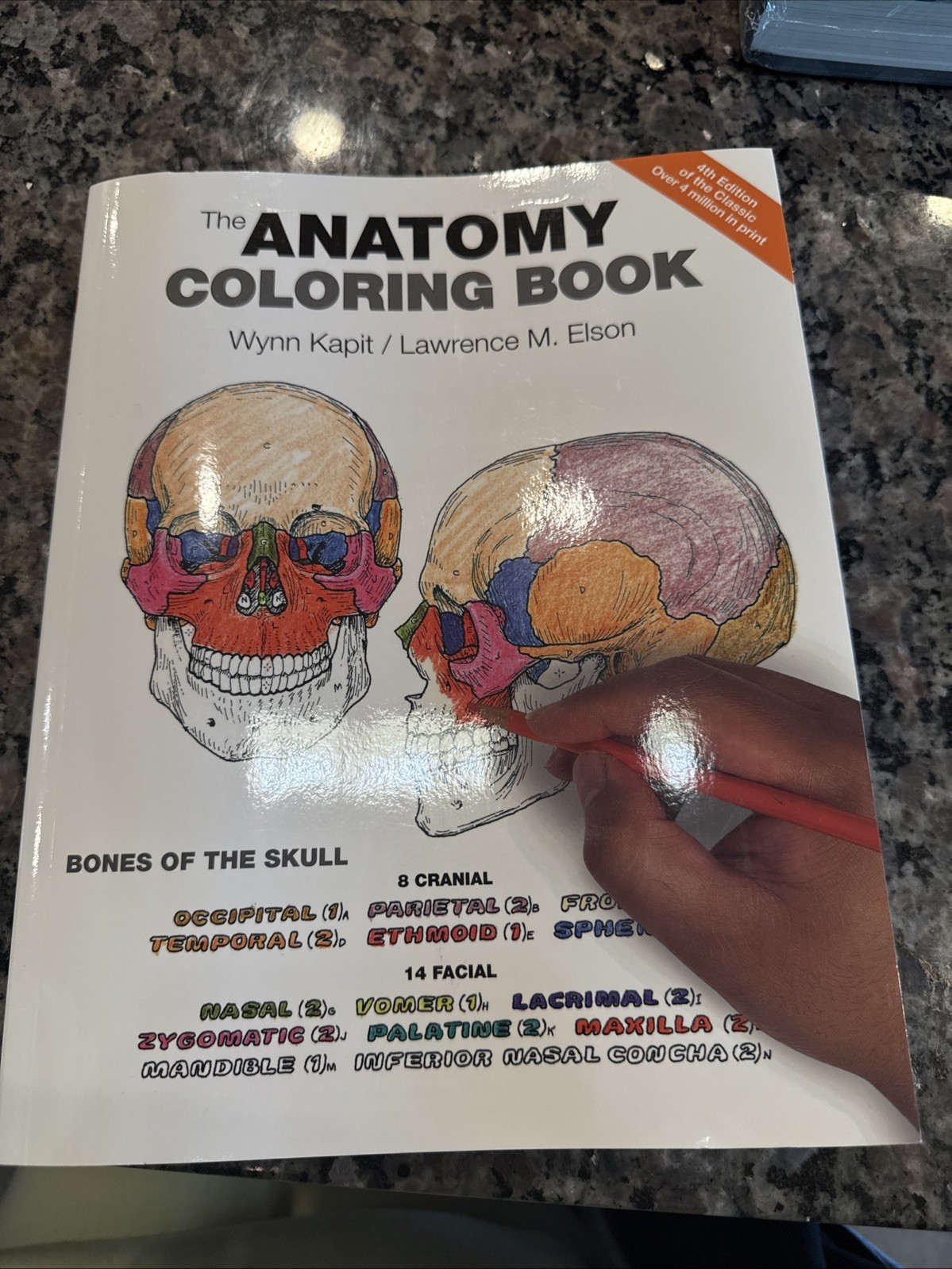 Anatomy Coloring Book by Wynn Kapit and Lawrence Elson (2013, Trade Paperback)
