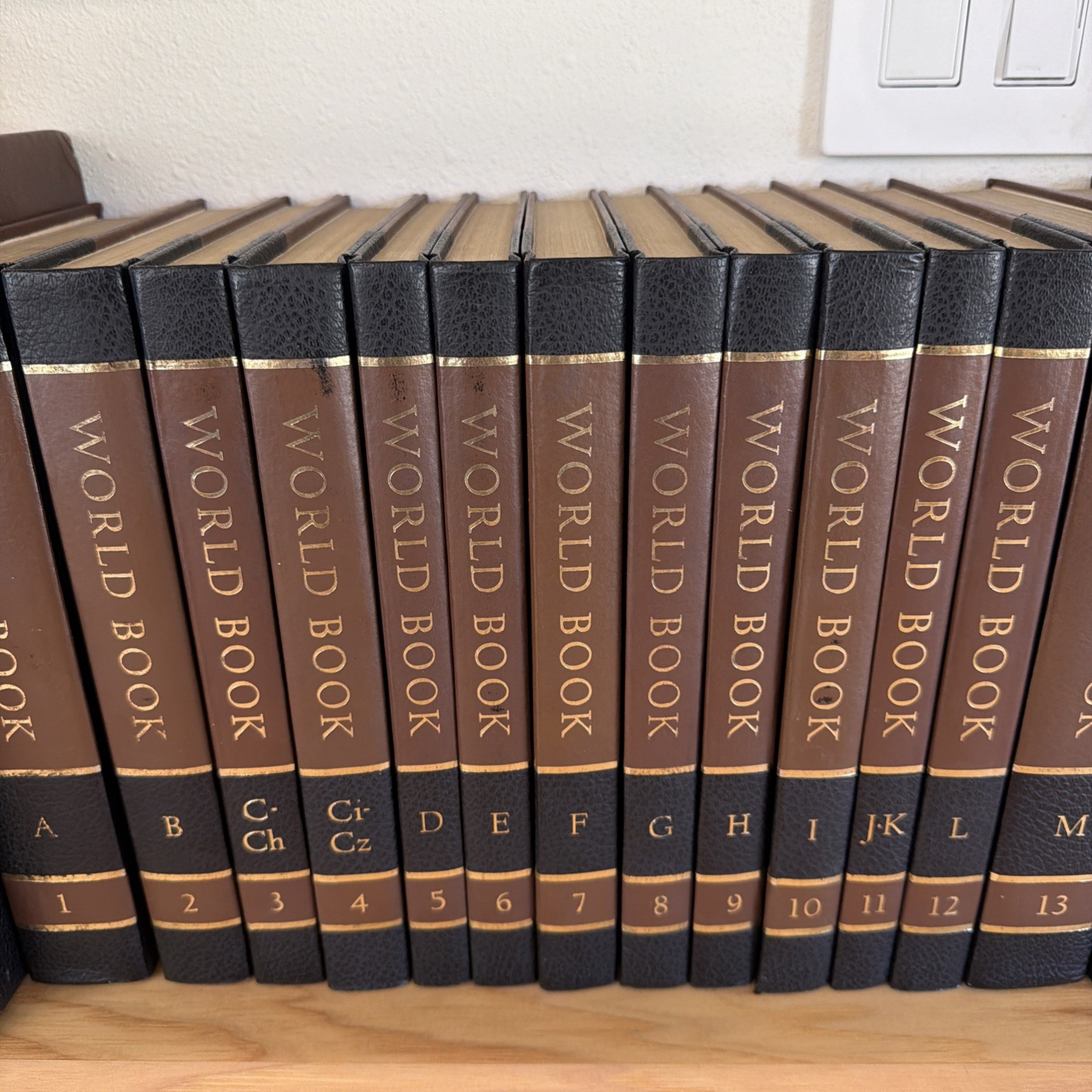Vintage 1977 World Book Encyclopedia And Dictionary Complete Set (Volumes 1-21)