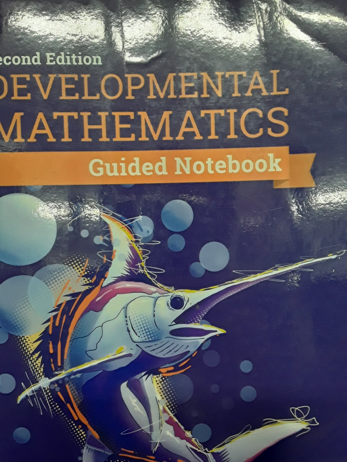 Developmental Mathematics S. Johnson Hawkes Learning TPB VG 260523