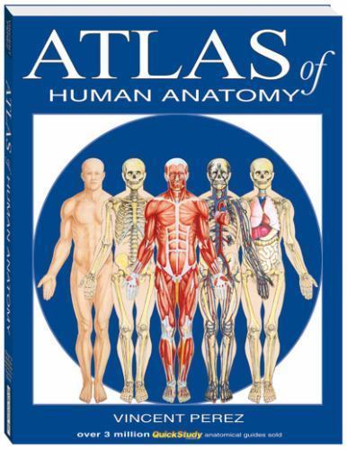 Atlas Of Human Anatomy; Quickstudy Books – 1423201728, paperback, Vincent Perez