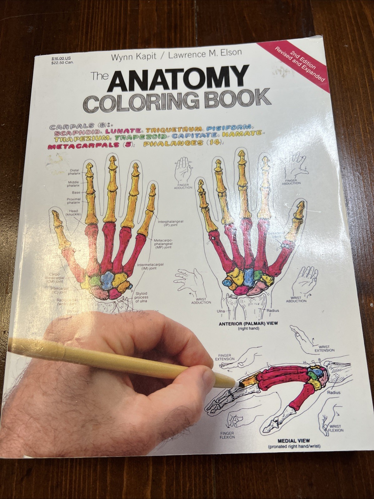 The Anatomy Coloring Book, Kapit, Wynn; Elson, Lawrence