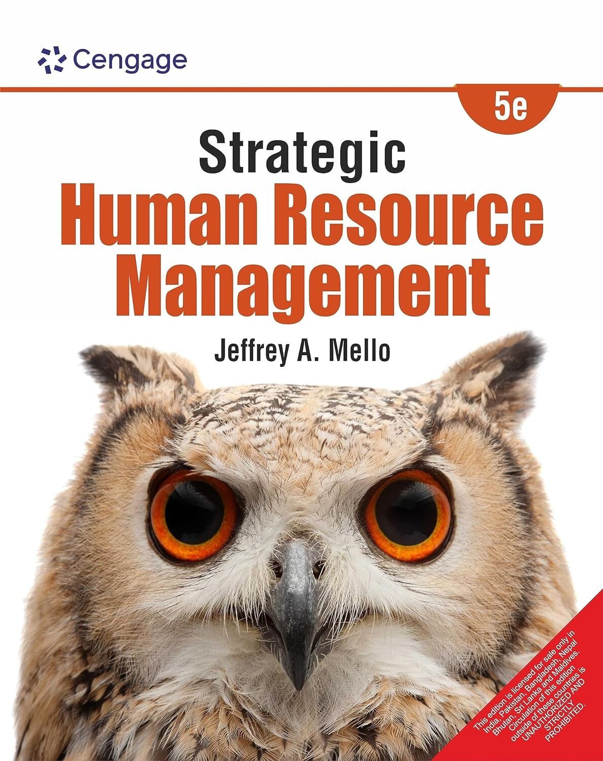 Strategic Human Resource Management by Jeffrey A. Mello, 5TH INT&rsquo;L EDITION (PBK)