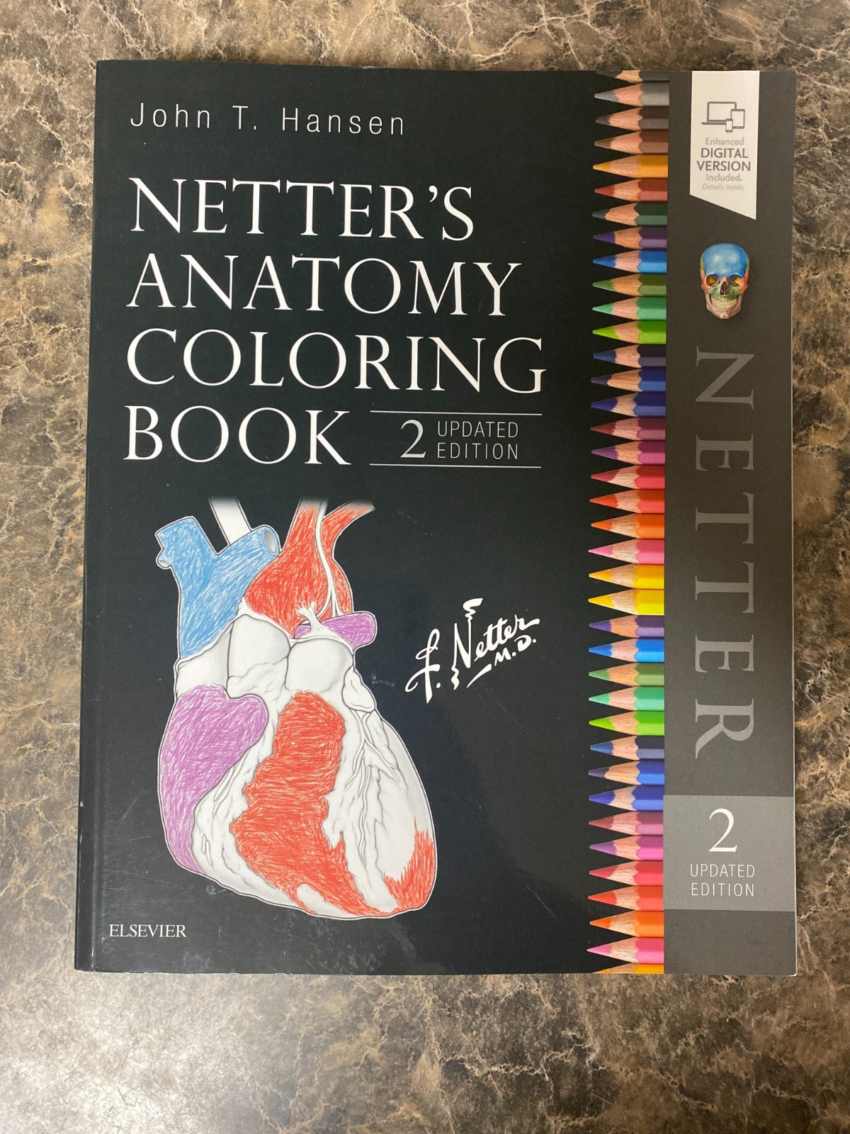 Netter Basic Science Ser.: Netter&rsquo;s Anatomy Coloring Book Updated Edition by…