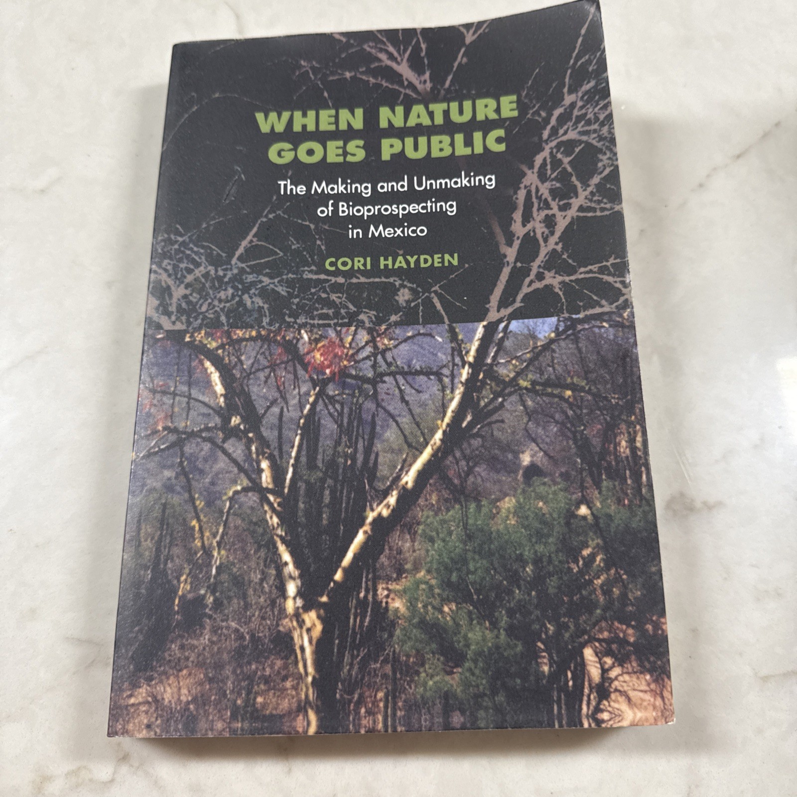 When Nature Goes Public: The Making And Unmakin, Hayden Paperback+=